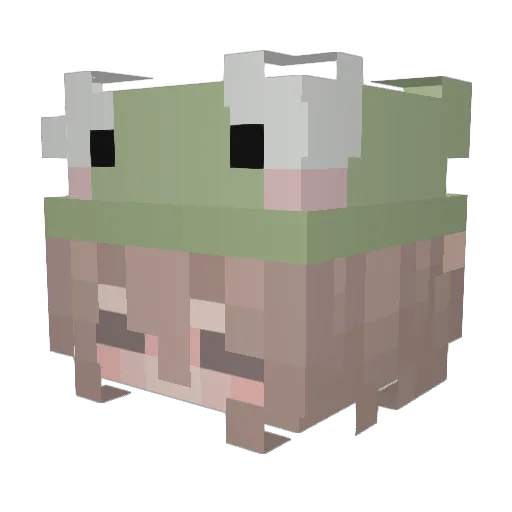 CocoChip007 Minecraft avatar head, 3D render
