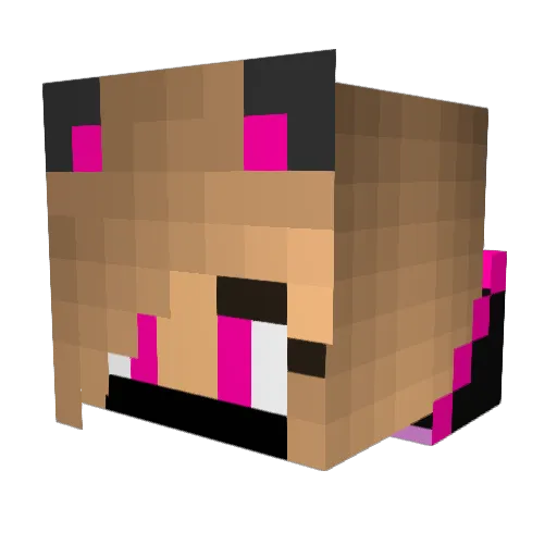 CocoDeluxe04 Minecraft avatar head, 3D render