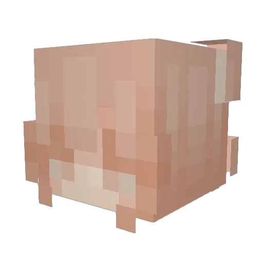CocoDesigns Minecraft avatar head, 3D render