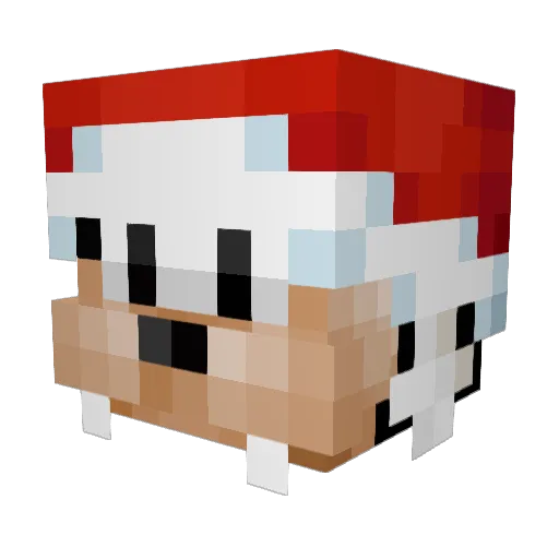 CocoGoofy_ Minecraft avatar head, 3D render