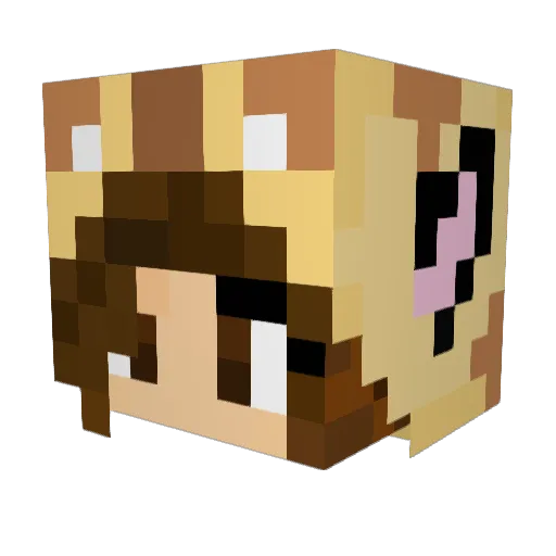 CocoHaley Minecraft avatar head, 3D render