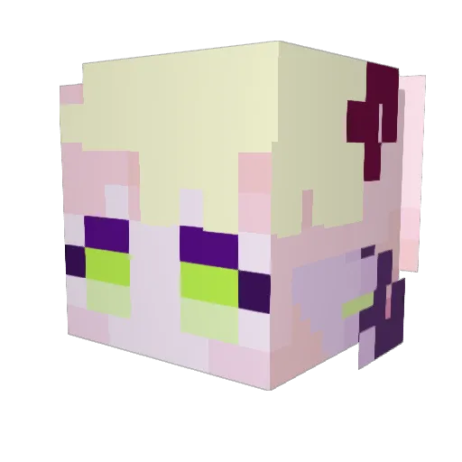CocoMagi Minecraft avatar head, 3D render