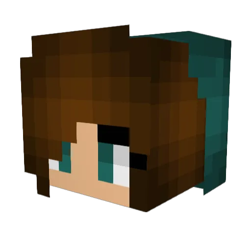 CocoNUT248 Minecraft avatar head, 3D render