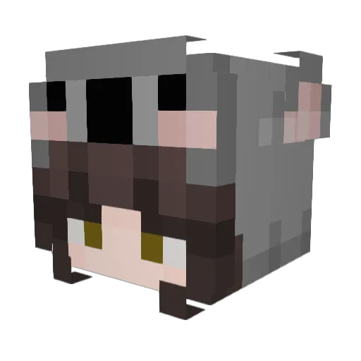 CocoPro35 Minecraft avatar head, 3D render