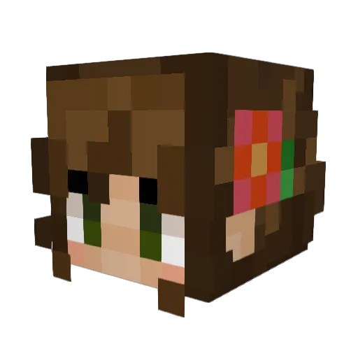 CocoTX Minecraft avatar head, 3D render
