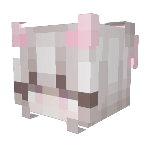 Coco_Slays Minecraft avatar head, 3D render