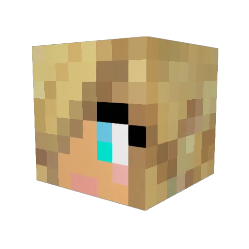 Coco_Super Minecraft avatar head, 3D render