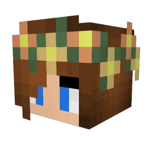 Coco_fudge Minecraft avatar head, 3D render