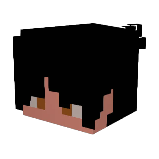Coco_xuaiyi Minecraft avatar head, 3D render