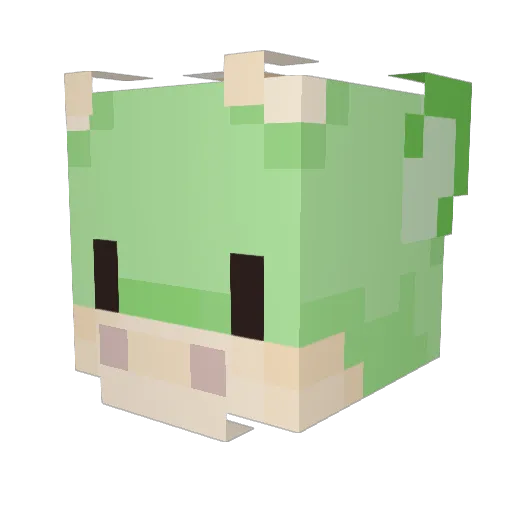 Cocoa2214 Minecraft avatar head, 3D render