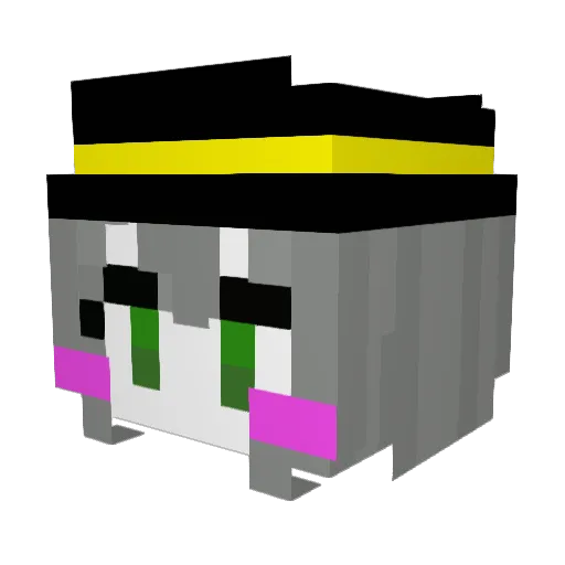 CocoaNutOwO9012 Minecraft avatar head, 3D render