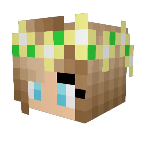 Cocoa__Thunder Minecraft avatar head, 3D render