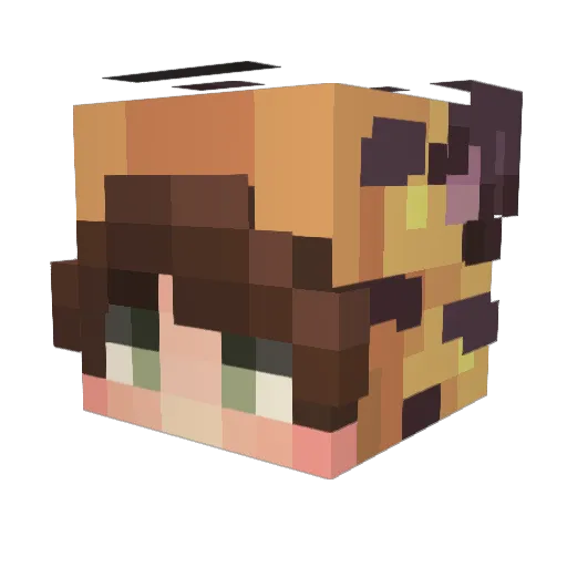 Cocoanut521 Minecraft avatar head, 3D render
