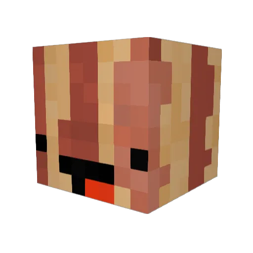 Cocoasnuess Minecraft avatar head, 3D render
