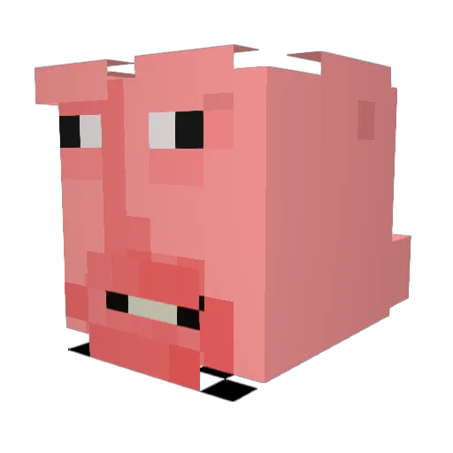 CococoLoco Minecraft avatar head, 3D render