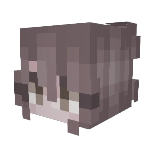 Cocoes3 Minecraft avatar head, 3D render