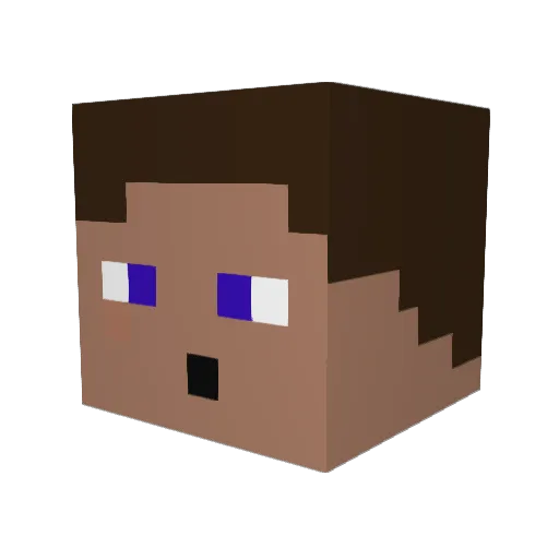 Cocojamb0 Minecraft avatar head, 3D render