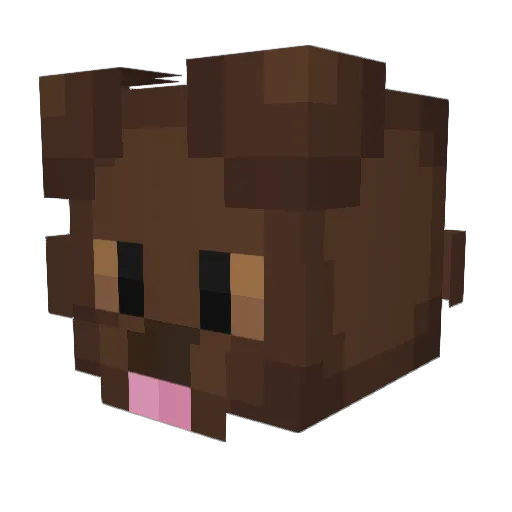 Cocoloc0_15 Minecraft avatar head, 3D render
