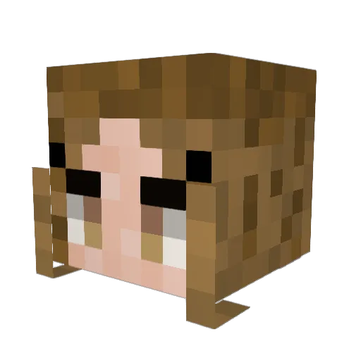 Cocomongo Minecraft avatar head, 3D render