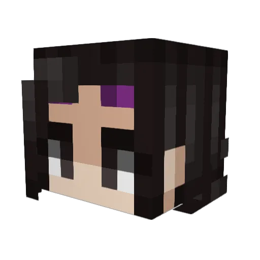 Coconbt Minecraft avatar head, 3D render