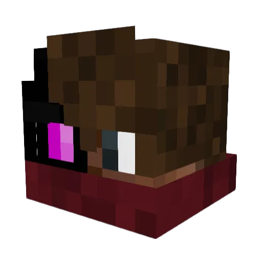 Coconurtle Minecraft avatar head, 3D render