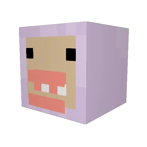 Coconut102 Minecraft avatar head, 3D render