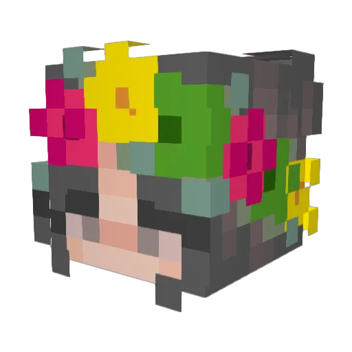 CoconutAddicted Minecraft avatar head, 3D render