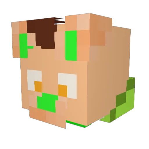 CoconutKai Minecraft avatar head, 3D render