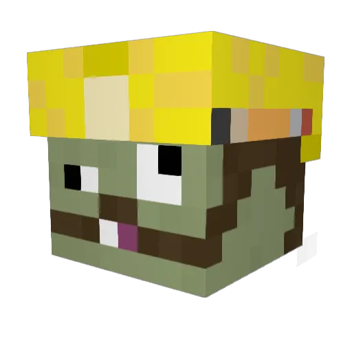 CoconutLord92 Minecraft avatar head, 3D render