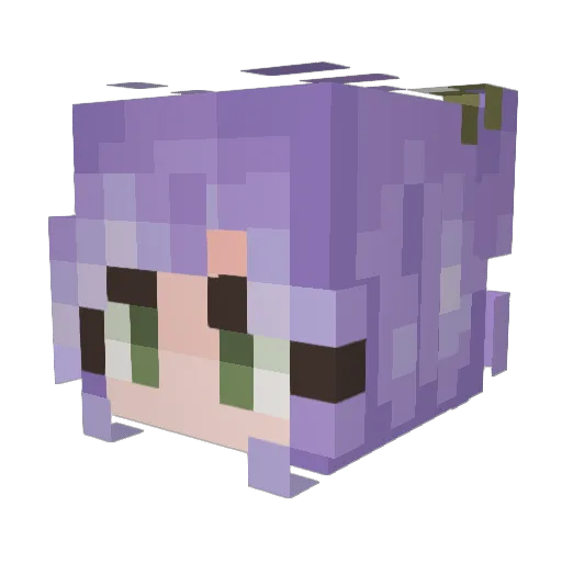 CoconutSharkz Minecraft avatar head, 3D render