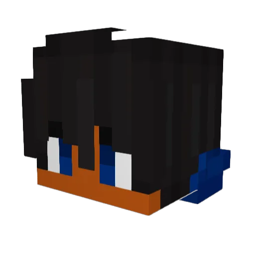 Cocoquatyque Minecraft avatar head, 3D render