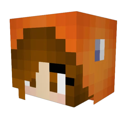 Cocori23 Minecraft avatar head, 3D render