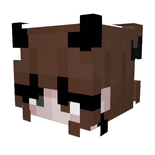 Cocosaa Minecraft avatar head, 3D render