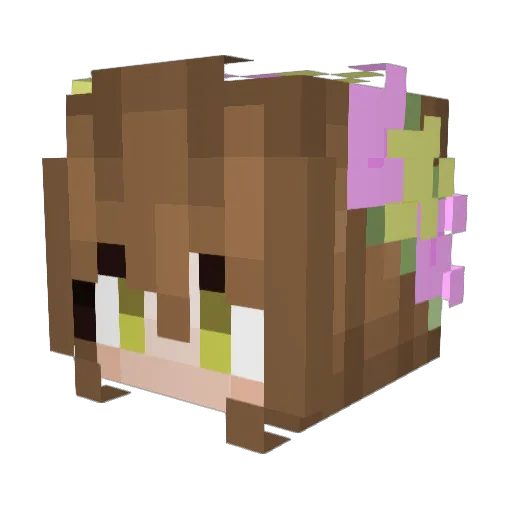 Cocoseelzx Minecraft avatar head, 3D render