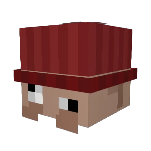 Minecraft-Avatar von Cocosnut1: Kopf als 3D-Render