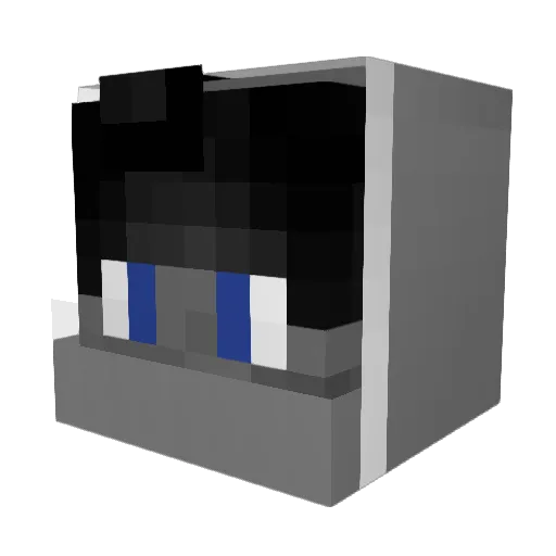 Cocotte35_ Minecraft avatar head, 3D render