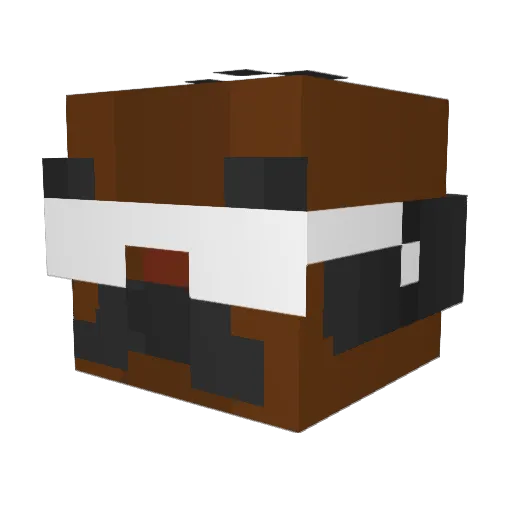 Cocumbas Minecraft avatar head, 3D render
