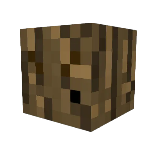 Cod_princess Minecraft avatar head, 3D render
