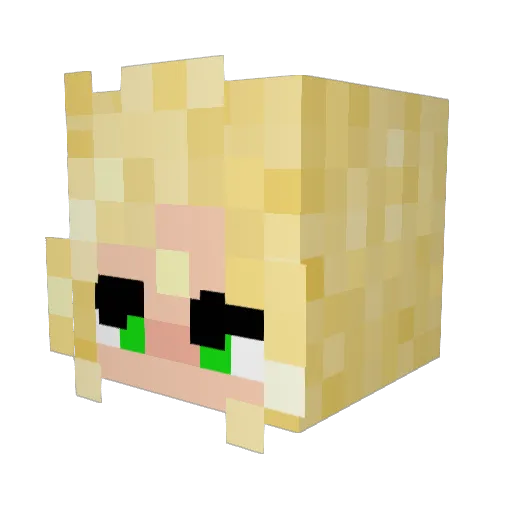 CodaOhmu Minecraft avatar head, 3D render