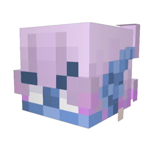 CoddiElysis Minecraft avatar head, 3D render