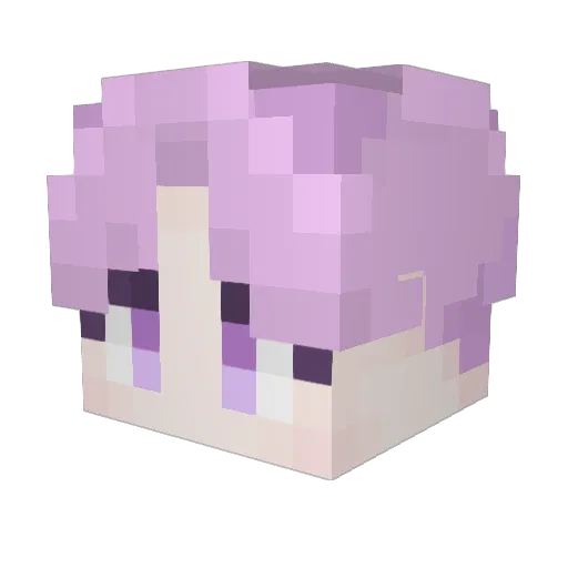 Code0o4 Minecraft avatar head, 3D render
