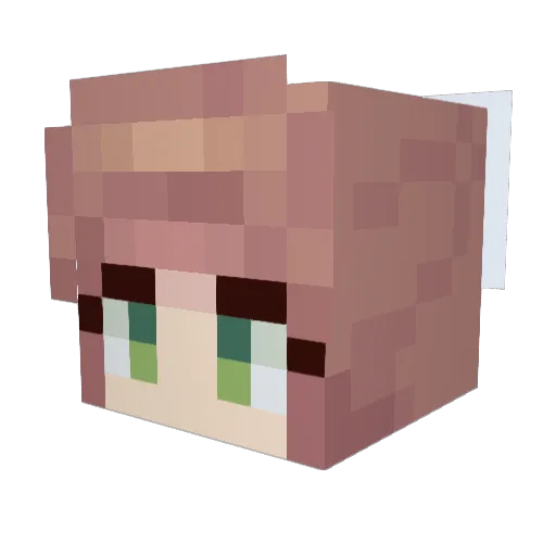 Code1001 Minecraft avatar head, 3D render