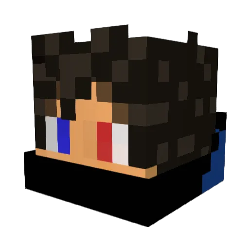CodeBreaker2406 Minecraft avatar head, 3D render