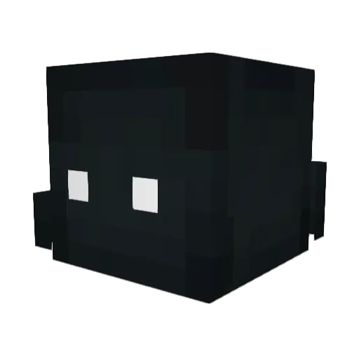 CodeCorey Minecraft avatar head, 3D render