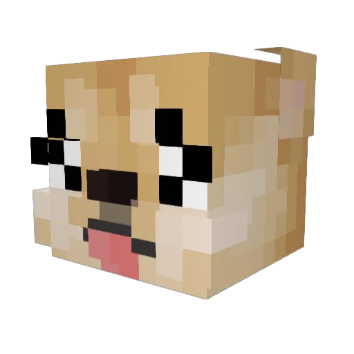CodeDragon1010 Minecraft avatar head, 3D render