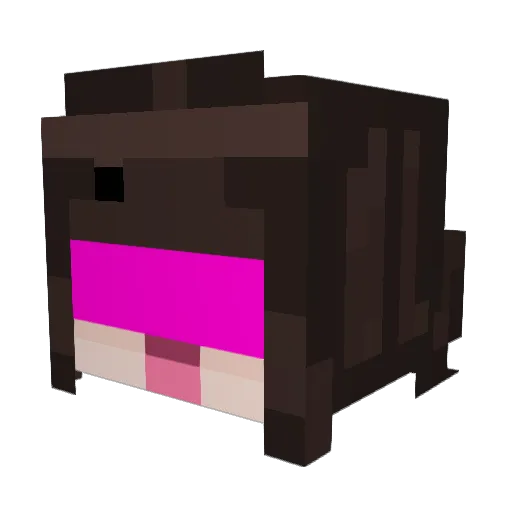 CodeLari Minecraft avatar head, 3D render