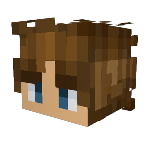 CodeName_7 Minecraft avatar head, 3D render