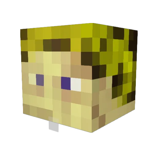 CodeNinja10 Minecraft avatar head, 3D render