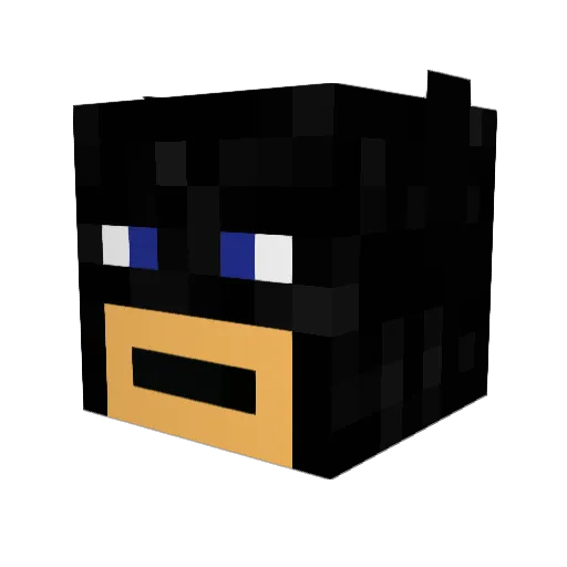 CodeNinja84 Minecraft avatar head, 3D render
