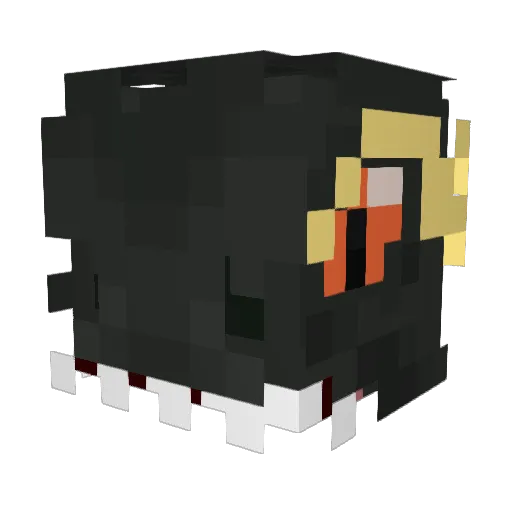 CodeNinjas007 Minecraft avatar head, 3D render